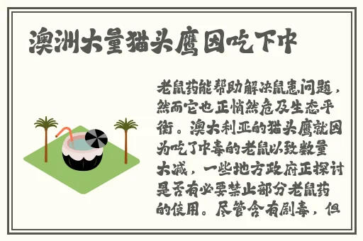 妻子是前不良少女动漫